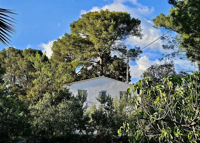 Bastidon Du Camp De Jeanne