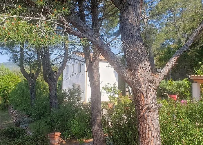 Bastidon Du Camp De Jeanne